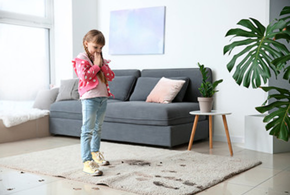Carpet Cleaning