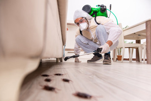 Pest Control